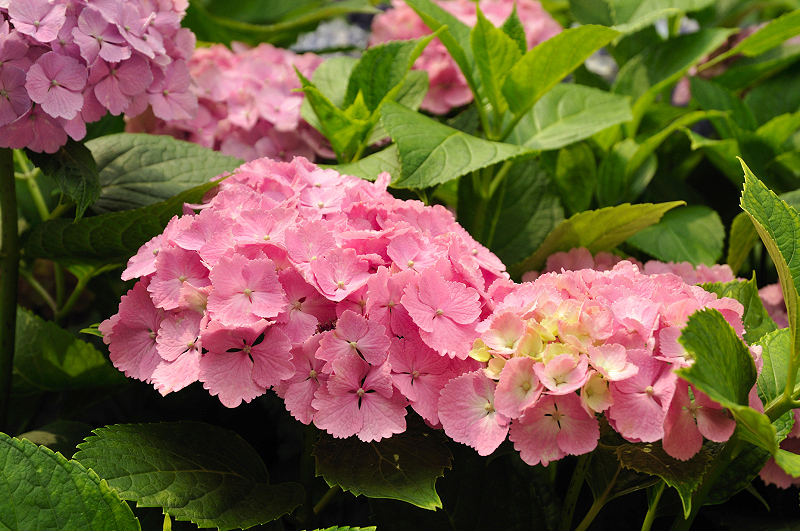 image0203