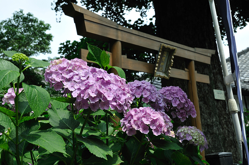 image0209