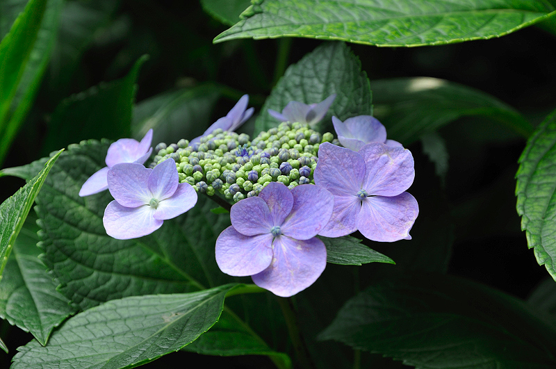 image0211