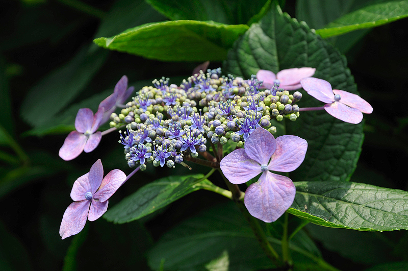 image0212