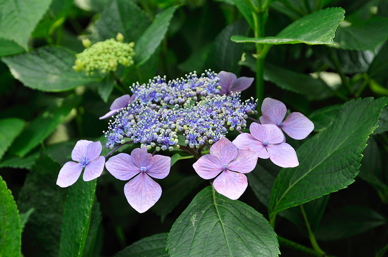 image0213
