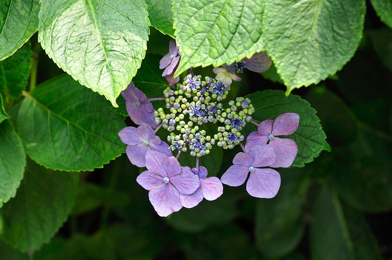 image0214