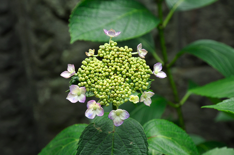 image0217