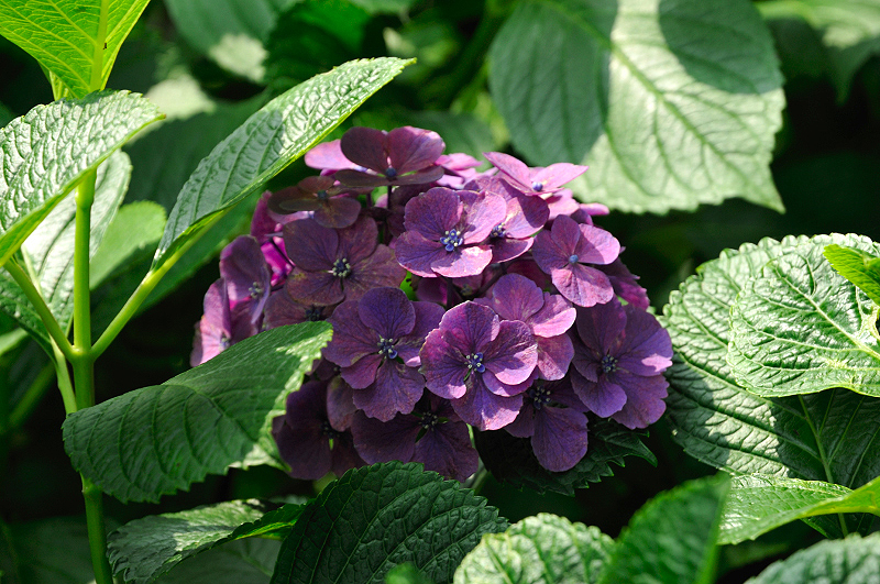 image0219