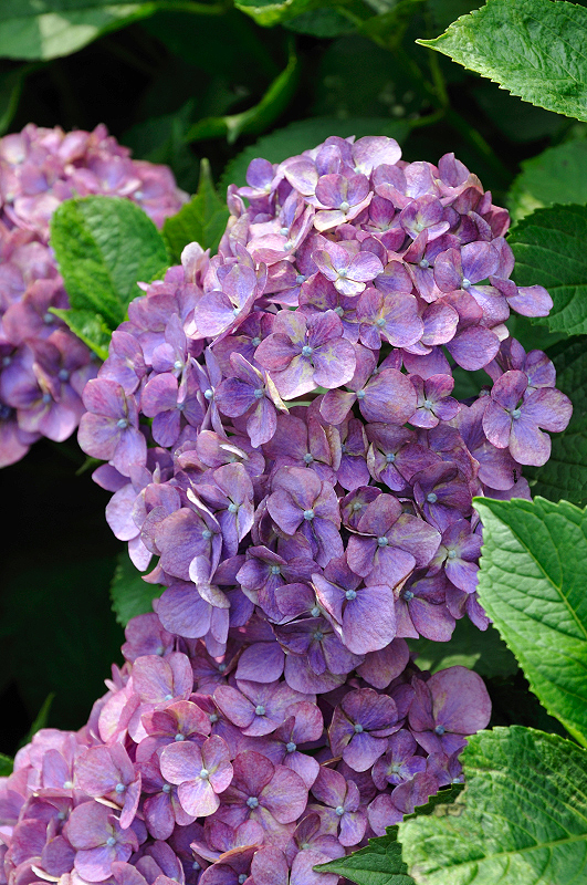 image0220