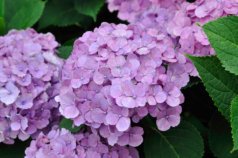 image0221