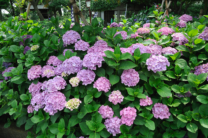 image0222
