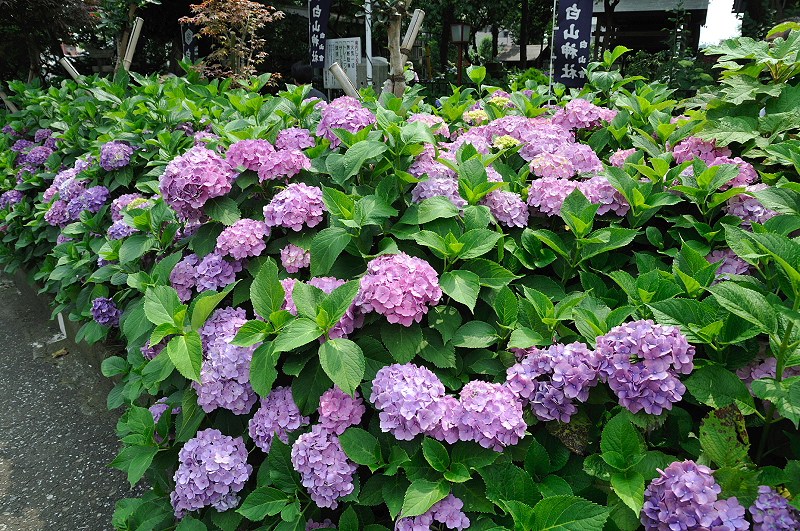 image0223