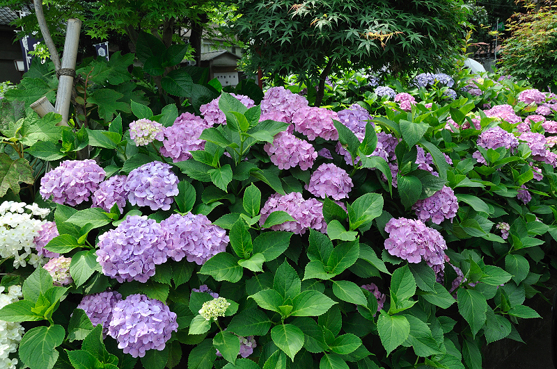 image0224
