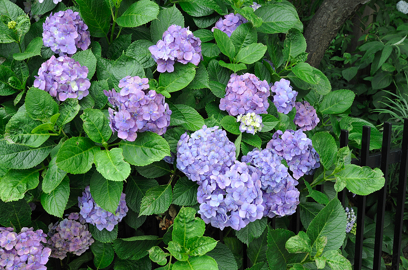image0227