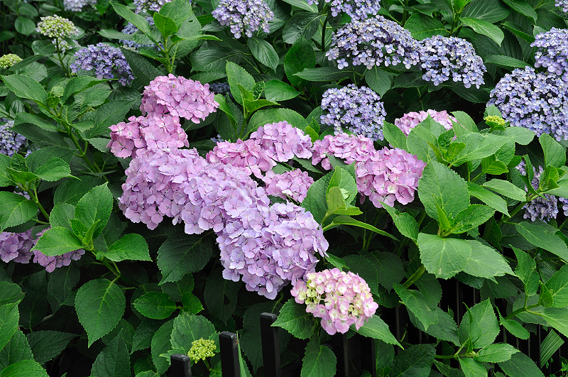 image0228