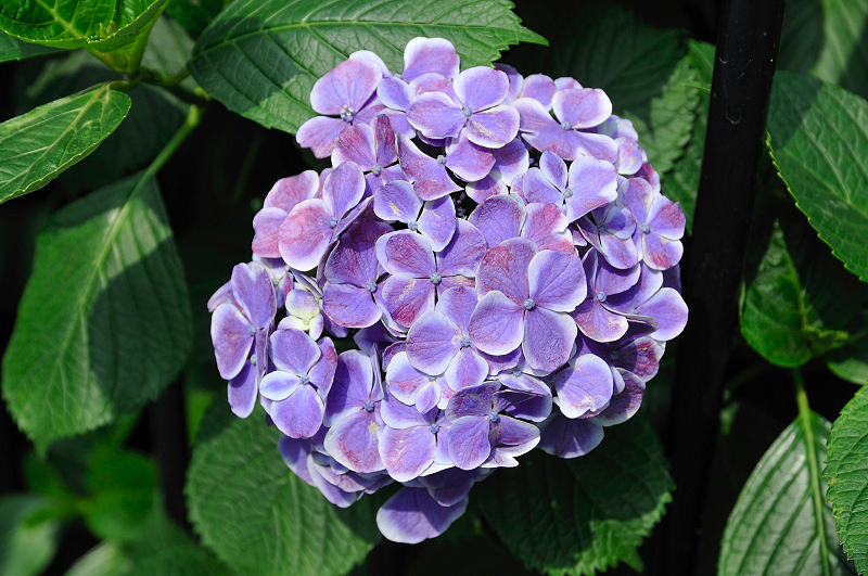 image0231