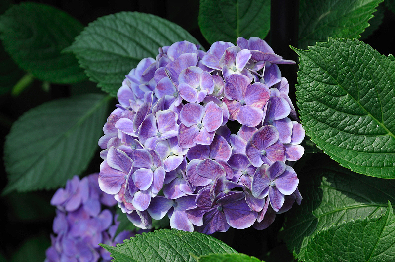 image0232