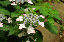 image0151