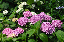 image0181