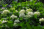 image0182