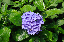 image0183