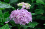 image0184