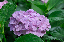 image0186
