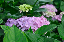 image0187