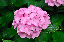 image0188