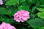 image0189