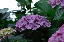 image0193