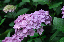 image0195