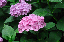 image0196