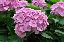 image0197