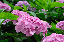 image0198