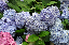 image0200