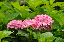 image0201