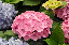image0202