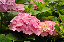 image0203