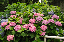image0204