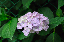 image0205