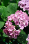 image0208