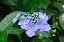 image0210