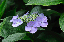 image0211