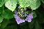 image0214