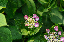 image0216