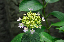 image0217