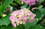 image0218