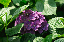 image0219