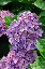 image0220