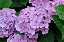 image0221