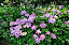 image0222