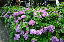 image0223