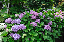 image0224